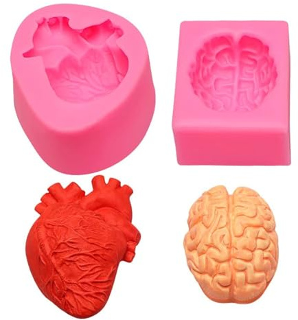 Confezione da 2 stampi in silicone a forma di organo a forma di cuore, cervello, resina epossidica, decorazione per intonaco, candele, aromi, mousse, cioccolato, aromaterapia fai da te