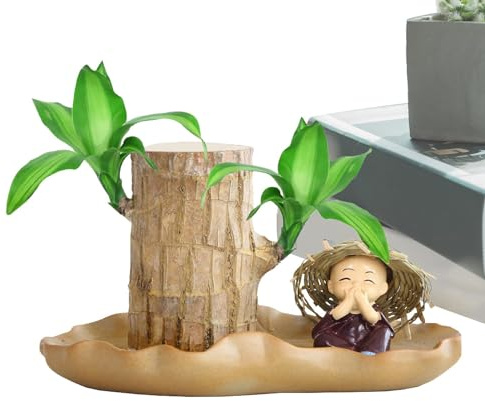 Bois porte-bonheur brésilien – Bureau de souche d'arbre hydroponique | Plante en bois porte-bonheur du Brésil | Germination du bois de bambou porte-bonheur | Plantes de bureau | Souche de bois