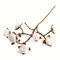 Én Gry & Sif Deko Zweig für Vase I Baumwollzweig Scandi I Handgefertigter Naturfilz Fair-Trade I Baumwollblüten - 1 x - 60 cm