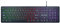 Silvergear Gaming Tastatur, RGB Beleuchtung, QWERTY, Flache Tasten