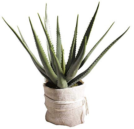 Nicht Zutreffend Kunstpflanze Dekopflanze | Aloe Vera | Höhe ca. 70 cm | Kunststoff