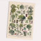 FOLLYGRAPH Arbres Poster - Trees Print, Vintage Bäume Bild, Arten von Bäumen (A2 (42x60cm))
