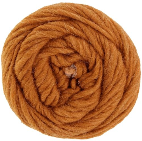LANA GROSSA Landlust die Filzwolle | Filzgarn aus 100% Schurwolle | Handstrickgarn aus 100% Schurwolle | 100g Wolle zum Stricken & Häkeln | 100m Garn FB5014
