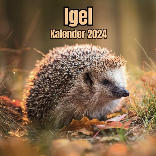 Igel Kalender 2024: 14-Monats-Planer, November 2023 bis Dezember 2024, für Zuhause und Büro für Tierliebhaber
