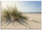 ARTland Wanddeko Leinwand Bilder Wandbild 100x70 cm Strand Meer Dünen Küste Meerblick Sommer Sonne Himmel Gräser S9ZI
