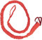 M-Wave Unisex – Erwachsene Trail Rope Fahrrad-Abschleppseil, Rot, Einheitsgröße
