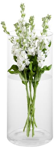APACALI Vase Cylindrique en Verre 35 x 12 cm pour Salon, Table à Manger, Décoration de Maison, Bureau et Mariage - Transparent
