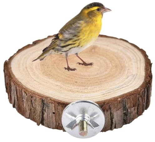 Birds Round Perch Platform, 6cm Wooden Perch Platform for Bird Cage, Parrots Perch Playground Stand Exercise Toy Standing Cage Accessories for Small Parakeets Cockatiels Hamster Gerbil Rat Mouse