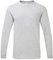 GILDAN Mens Hammer Heavyweight Long Sleeve T-Shirt (L) (Sport Grey)
