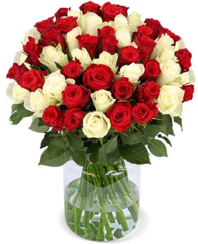 Rosenstrauß, 50 rot-weiße Rosen, Ideales Blumengeschenk, 50 cm, Qualität vom Floristen, 7-Tage-Frischegarantie, Schneller Blumenversand
