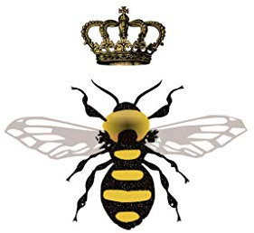 Set of 5 x Queen Bee Iron on Screen Print Fabric Applique Machine Washable Transfer Royal Bee