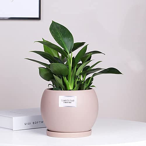 Pot de Fleur Exterieur Pots de Plantes Pot de Jardin Pots de Plantes avec Trous de Drainage Jardinières en céramique Pots de Jardin extérieurs Grande jardinière en céramique à Plusieurs Niveaux
