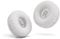 Replacement Ear Pads Compatible with JBL Tune 510BT / 520BT / 570BT / 660NC / JBL Live 460NC / 670NC / JR310BT / JR300BT, Sony MDR-ZX110 and More Headphones EarPads（White