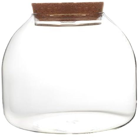 Jar de Terrarium, 5,9 x 5,1 Pouces en Verre Transparent Plante en Verre Terrarium avec Bouchons de Bois, Bol à Poisson Ronde Pot Fleurs en pour Succulent décor Table Table Plante