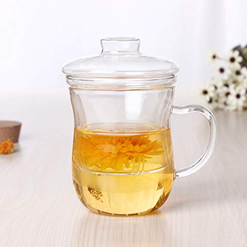 Cabilock 1pezzi Tazza Da Tè Trasparente Con Coperchio e Manico Per Infusione e Separazione Del Tè Perfetta Per Ufficio e Viaggi