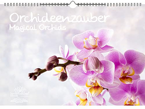 Orchideenzauber Immerwährender Kalender DIN A3 Orchideen und Blüten - Seelenzauber