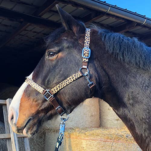 Halfter für Pferde Pferdehalfter stylischer Leopard Look, 2-Fach verstellbare Dornschnallen, Shetty, Pony, Cob, Warmblut (Shetty (Shetland), Leopard)