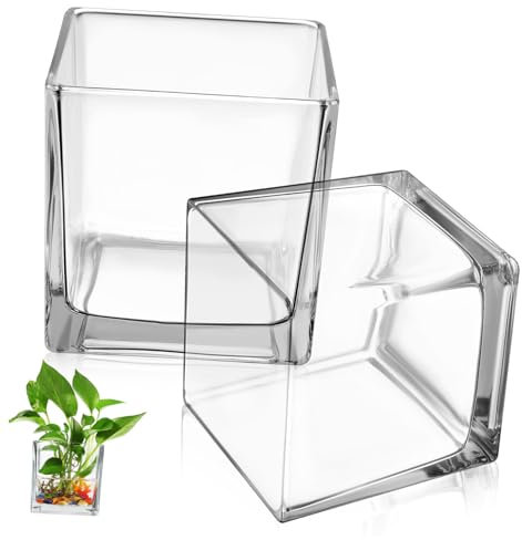 Yardwe 2pièces Lot de Vases Cube Verre Transparent Pot Carré à Fleurs Centre De Table Décoration Intérieure pour Plantes Et Fleurs