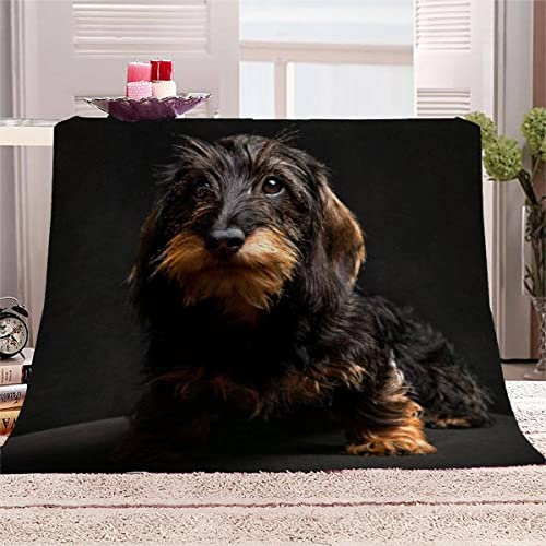 Aolity Babydecke 70x100 cm Dackel Kuscheldecke Baby Personalisiert Flanell Decke 3D Druck Flauschige Decke Schwarz Reisedecke Kuschelige Wohndecke Sofadecke