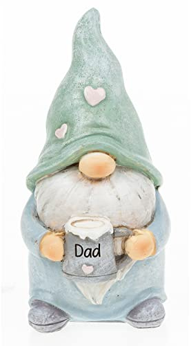 Shudehill Giftware Loveable Gonks Dad