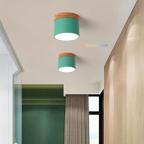 TZSMUM LED Deckenleuchte Indoor Aufbauspot Holz Deckenlampe 3 Farbmodi 2700K/4500K/6500K Deckenleuchten Modern Rund Dekorative für Schlafzimmer Wohnzimmer Esszimmer (Grün,10cm)