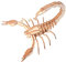 BCOATH 1Pièce Puzzle Bois DIY pour Garçon Fille Insecte Jeu Éducatif à Assembler sans Outil Développe Créativité et Concentration