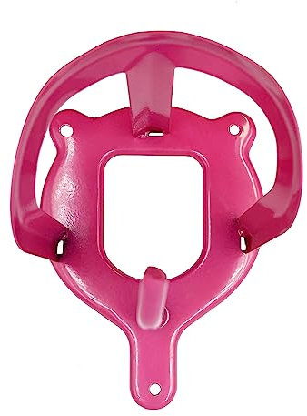 JA Horse Lot de 10 porte-bridons en métal pour chevaux, écurie, chambre de selle (rose)