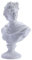 HODESunPure Griechische David-Kopf-Büste, Skulptur, Heimdekoration, klassische Apollo antike griechische Mythologie, Statue, römische Heimdekoration oder Bücherregale, Regale, Trennwand Dekor (weiß)