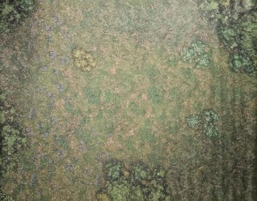JustRolling6s Green Forest and Grassland 60 by 44 Neoprene Wargaming Battle Mat suitable for AOS, 40k and other tabletop games