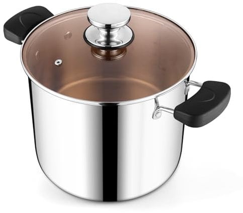 HaWare Large Stock Pot, 10L 25.5cm Tri-Ply Stainless Steel Stockpot for Cooking Pasta & Stewing Soup, Suit for Induction/Electric/Gas/Ceramic, Heat-Proof Handle & Clear Lid, Easy Clean