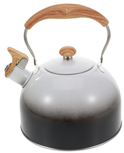 CATIEBYE Minimalist Design Stainless Steel Tea Kettle Whistling for Kitchen Office Travel