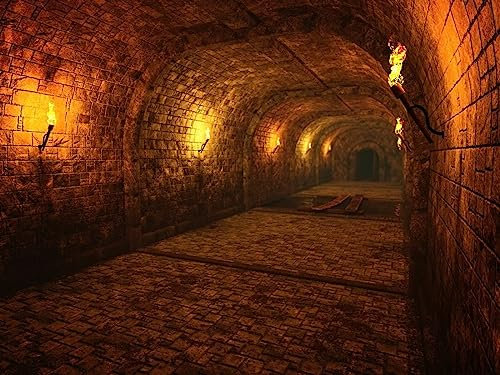 Dunkles mittelalterliches Schloss Dungeon Tunnel Gamer Party Hintergrund Geburtstag Party Hintergrund (200 x 150 cm))