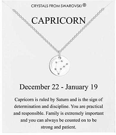 Philip Jones Rhodium Plated Capricorn Zodiac Star Sign Disc Necklace Created with Zircondia® Crystals