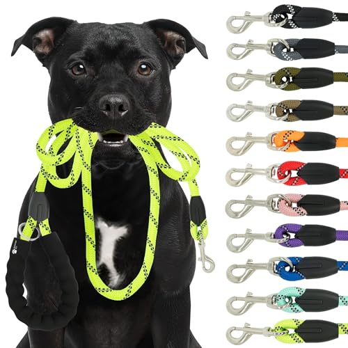 Reichstadt Pets Hundeleine 25RSP084 Lime Green 1,5m | Weiches Nylon mit EVA-Griff, reflektierend, drehbarer Metallhaken | robuste Führleine für kleine, mittelgroße, große Hunde