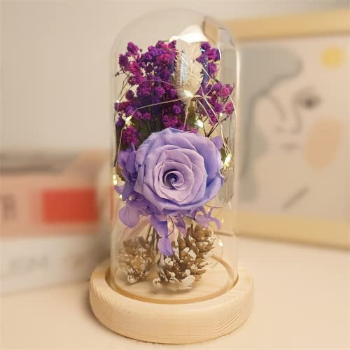 Rosa Eterna, La Bella e La Bestia Rose Incantate,Elegante Cupola di Vetro con Base Pino Luci LED, Romantico Kit di Rose, Regalo per Donne, Mamma, Fidanzata, Anniversario, Matrimonio, Coppia Amica