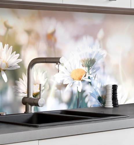 MyMaxxi Küchenrückwand selbstklebend - Matte, versteifte Spritzschutz Folie als günstige Alternative zu Glas, einfache Montage & leichte Reinigung - 60 cm hoch - Motiv: Blumen Margeriten 60 x 60 cm