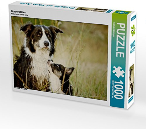 CALVENDO Puzzle Bordercollies | 1000 Teile Lege-Größe 64 x 48 cm Foto-Puzzle für glückliche Stunden