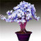Bloom Green Co. 100 Stück Exotische Japanische Azalee Bonsai, Misch Rhododendron Azalee, Azaleen-Blumen-Bonsai-Baum Diy Seedssplant Für Hausgarten: 7
