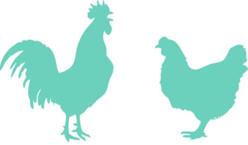 CLICKANDPRINT Aufkleber » WC Sticker Huhn & Hahn, 35x20,2cm, Mint • Wandtattoo/Wandaufkleber/Wandsticker/Wanddeko/Vinyl