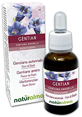 Gentian ou Gentiane amère (Gentiana amarella) Fleurs de Bach Naturalma - Gouttes 30 ml - Extrait liquide sans alcool - Essences florales - Vegan et sans alcool