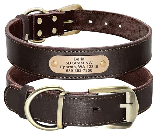 Didog - Collares para Perro de Piel auténtica con Placa de Nombre grabada, Collar de Perro de Cuero Suave Personalizado con Etiqueta de identificación Personalizada