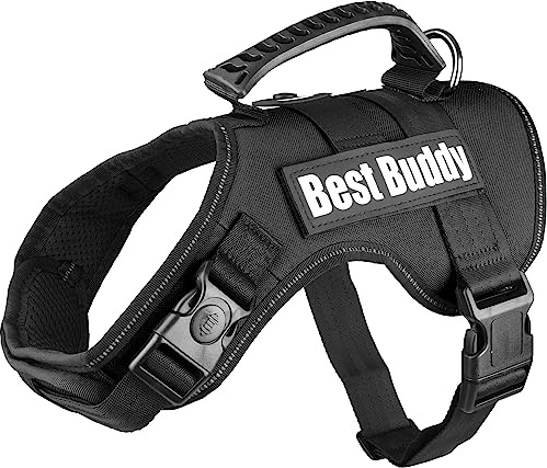 Flamingo Geschirr Best Buddy Uranus SCHWARZ L 70-90CM*50MM