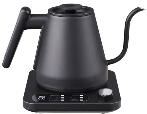 Teteras Eléctricas, 1200 W Hervidor eléctrico de cuello de cisne con control de temperatura, ebullición rápida y 2H Mantener caliente, vertido preciso para café té, acero inoxidable, 0.8L