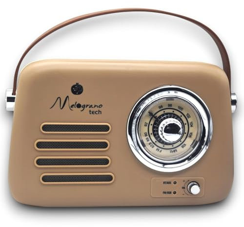 Cassa Bluetooth Portatile Retro con Design Vintage - Altoparlante Wireless in Diversi Colori, Dimensioni Compatte 22x9x19 cm, Audio Potente, Include Cavo di Ricarica (Tortora)