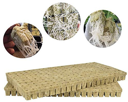 Rockwool - Cubos de cultivo para principiantes (50/100 unidades, para esquejes, clonación, base de compresa de invernadero, cubos de iniciación de piedra para crecimiento de plantas vigoroso
