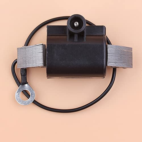 Module de bobine d'allumage pour tronçonneuse Sti-hl 070 090