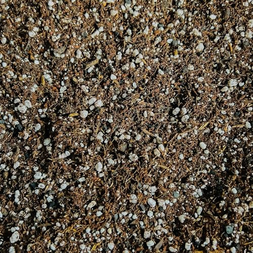 Premium Succulent and Cacti Potting Mix - Enhanced with Activated Biochar (5L)