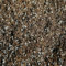 Premium Succulent and Cacti Potting Mix - Enhanced with Activated Biochar (5L)
