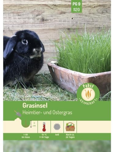 Pabst Keimkraft - Grasinsel Heimtier- und Ostergras Samen - 171120
