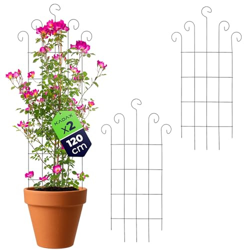 KADAX 2er Set Metall Rankgitter 58 x 120 cm, Rankhilfe für Kletterpflanzen wie Rosen & Clematis, Pflanzen Spalier für Garten, Balkon & Terrasse, Rosengitter aus Stahl